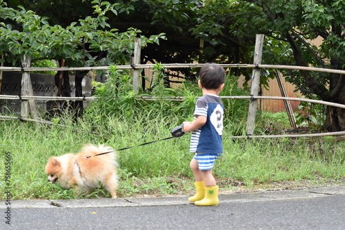 犬の散歩 photo