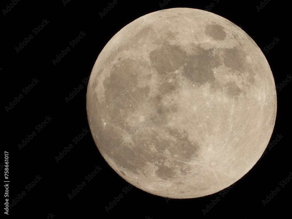 Naklejka premium 月