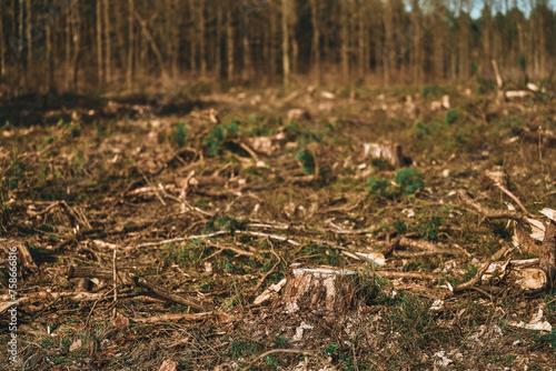 Impact of Deforestation and  Consequences of Logging © AlexGo