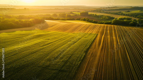 Aerial view of stunning agricultural fields showcasing nature's geometric patterns at sunset