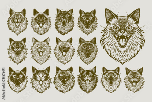 Detailed meow himalayan cat head tshirt illustration design set