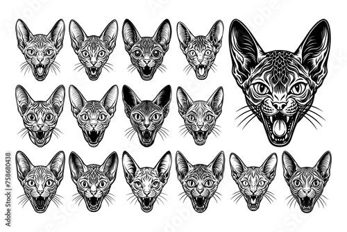 Collection of meowing devon rex cat head illustration vector