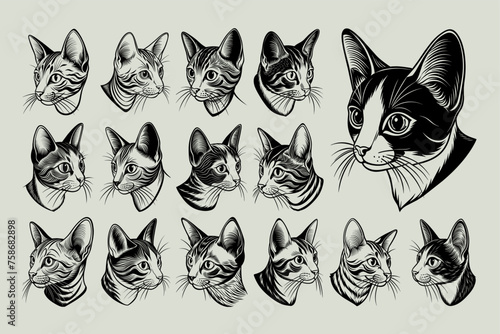 Realistic cute side view colorpoint shorthair cat head illustration design set