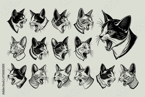 Profile side view of meowing colorpoint shorthair cat head design set