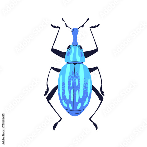 Beetle with antenna, proboscis. Fantastic bug with long nose. Insect, fantasy...