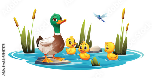 Mother duck and cute ducklings swimming in the pond. Vector cartoon illustration © YG Studio
