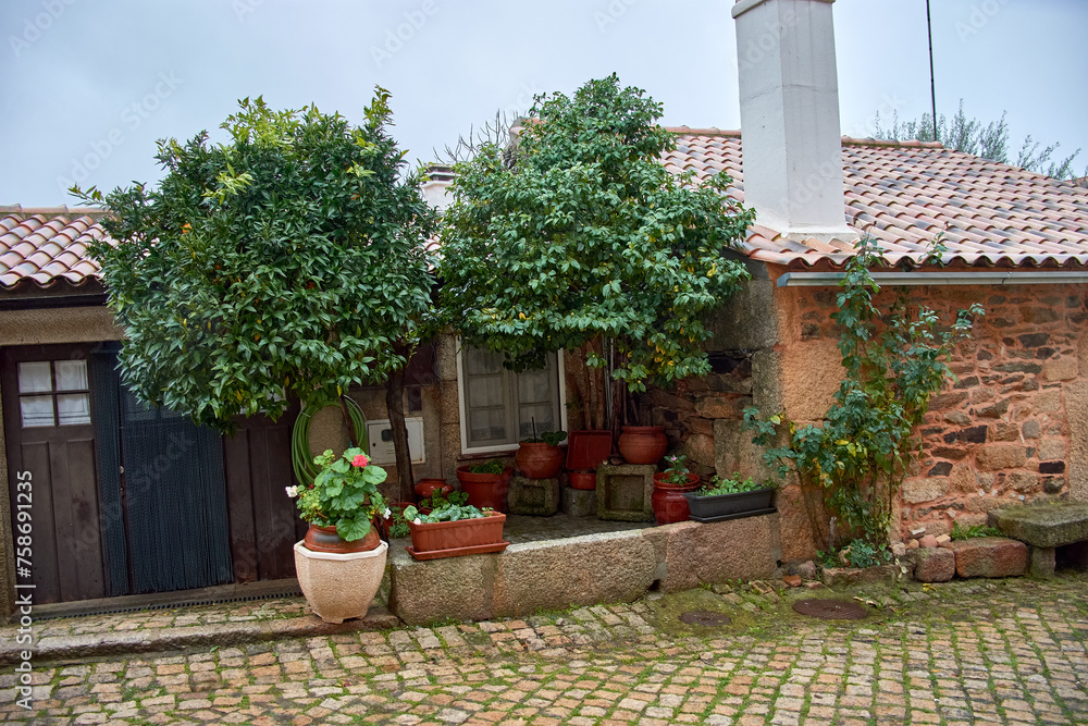 The orange tree house in Idalha a Velha in Portugal one of the historic villages The orange tree house in Idalha a Velha in Portugal one of the historic villages