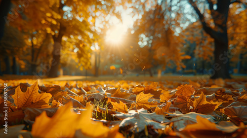 Autumn park scene with a ground-level view highlighting vibrant fallen leaves bathed in the warm glow of the setting sun, filtering through the trees. © ChubbyCat