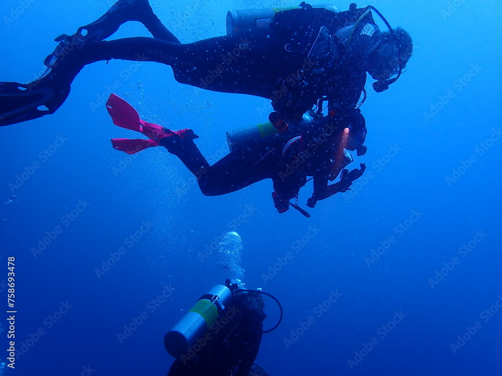custom made wallpaper toronto digitalscuba diving underwater world 