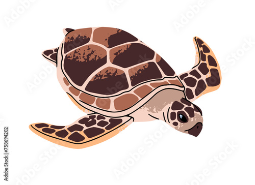 Green or loggerhead sea turtle with ornamented shell. Cute amphibian of ocean. Tropical water reptile. Undersea reptilian. Underwater fauna. Flat isolated vector illustration on white background