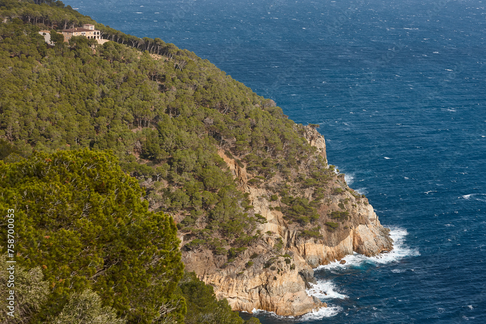 Costa Brava coastline landscape. Pinewood forest and Mediterranean sea. Girona