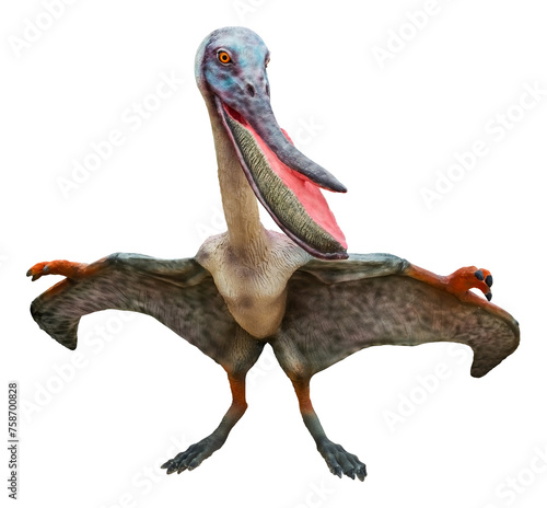 Pterodaustro is a genus of ctenochasmatid pterodactyloid pterosaur and lived in the Early Cretaceous period