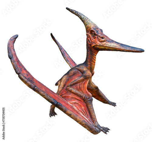 Pteranodon is a genus of Pterosaur and lived during the late Cretaceous period