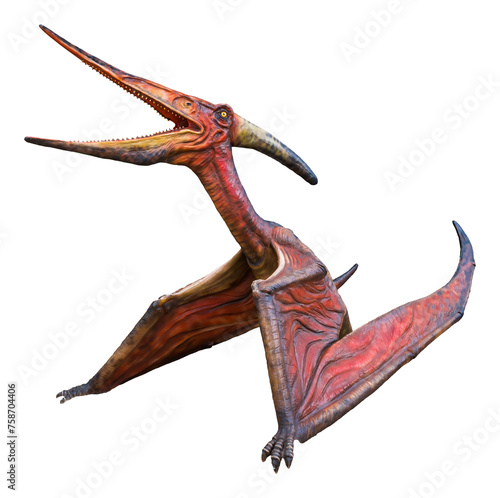 Pteranodon is a genus of Pterosaur and lived during the late Cretaceous period