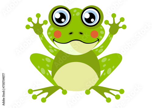 Cute happy frog isolated on white