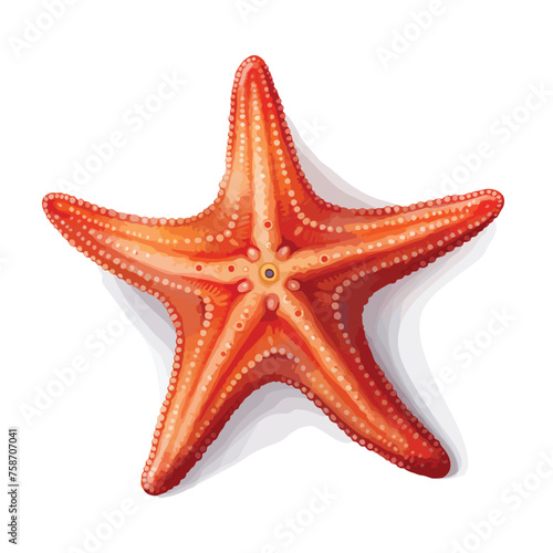 Serene Starfish Clipart Clipart isolated on white background