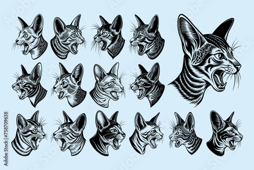 Side view of meowing chausie cat head illustration design set
