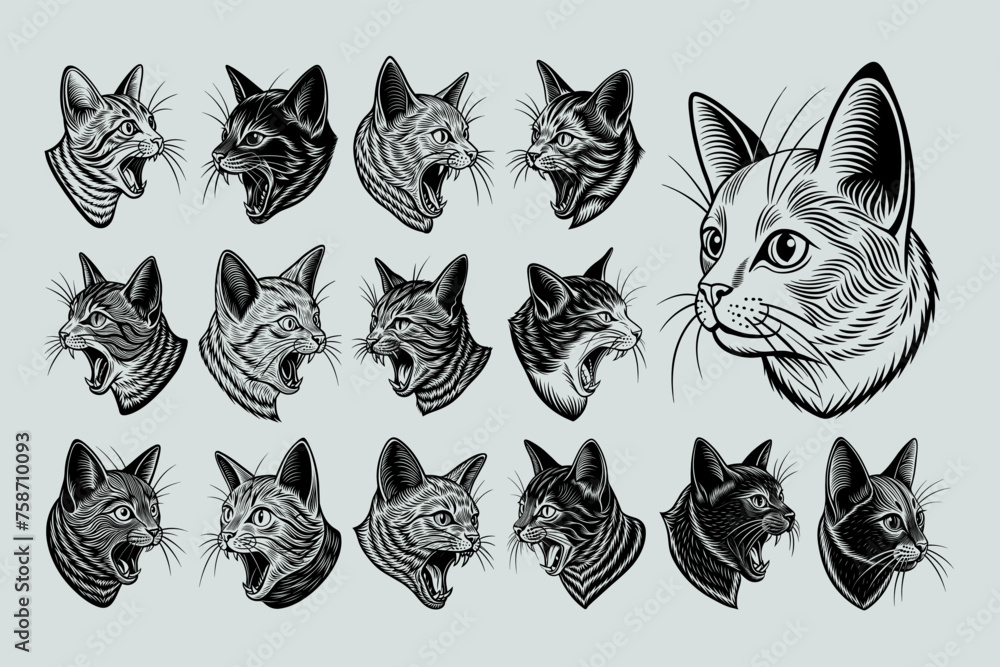Set of profile side view chartreux cat head illustration design Set of profile side view chartreux cat head illustration design