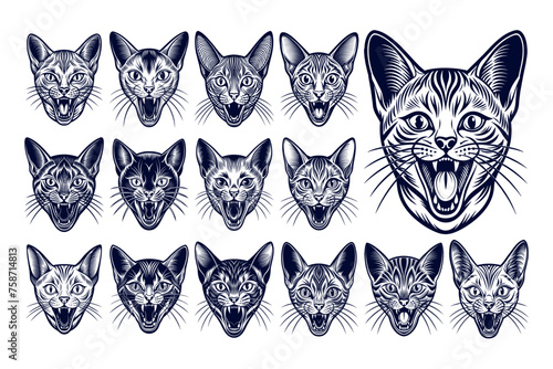 Bundle of meowing burmilla cat head illustration design