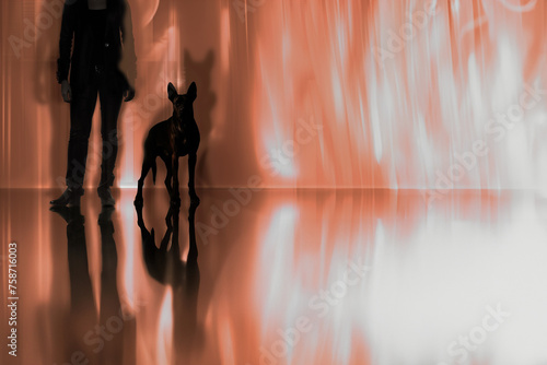 exposition longue durée, avec lignes de fuite tons orange ambre donnant un aspect terrifiant à ce chien de combat accompagnant son maître. Fond orange avec espace négatif copyspace 