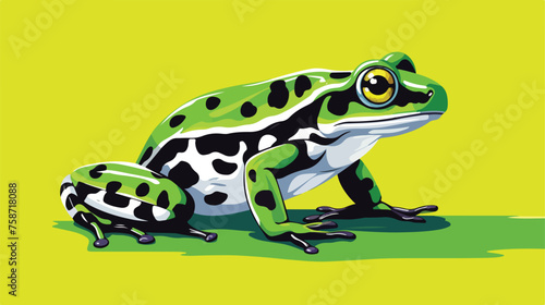 Black and white frog on green background flat vector