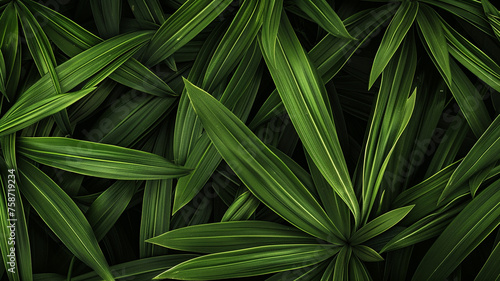 Abstract line leaves background