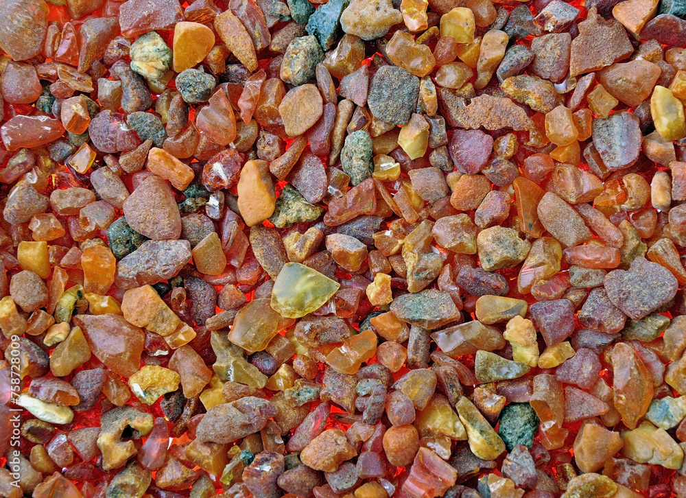 Baltic amber, resin segments, fossil millions of years Baltic amber, resin segments, fossil millions of years