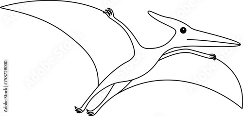 Pteranodon coloring page. Cute flat dinosaur isolated on white background