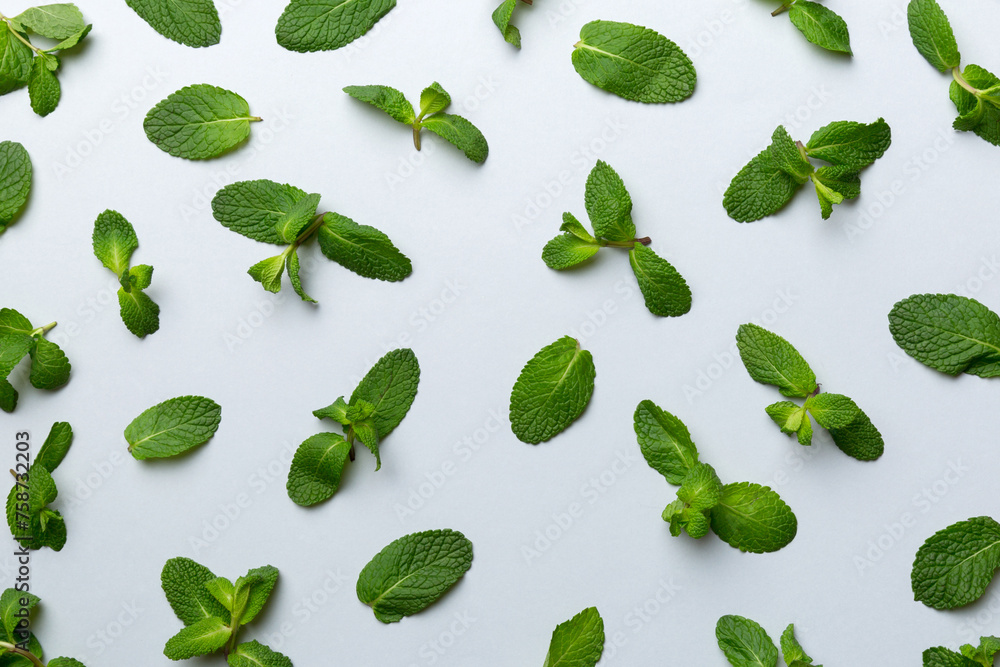Fresh green mint leaves on white background, Mint leaves pattern Top view with copy space Fresh green mint leaves on white background, Mint leaves pattern Top view with copy space