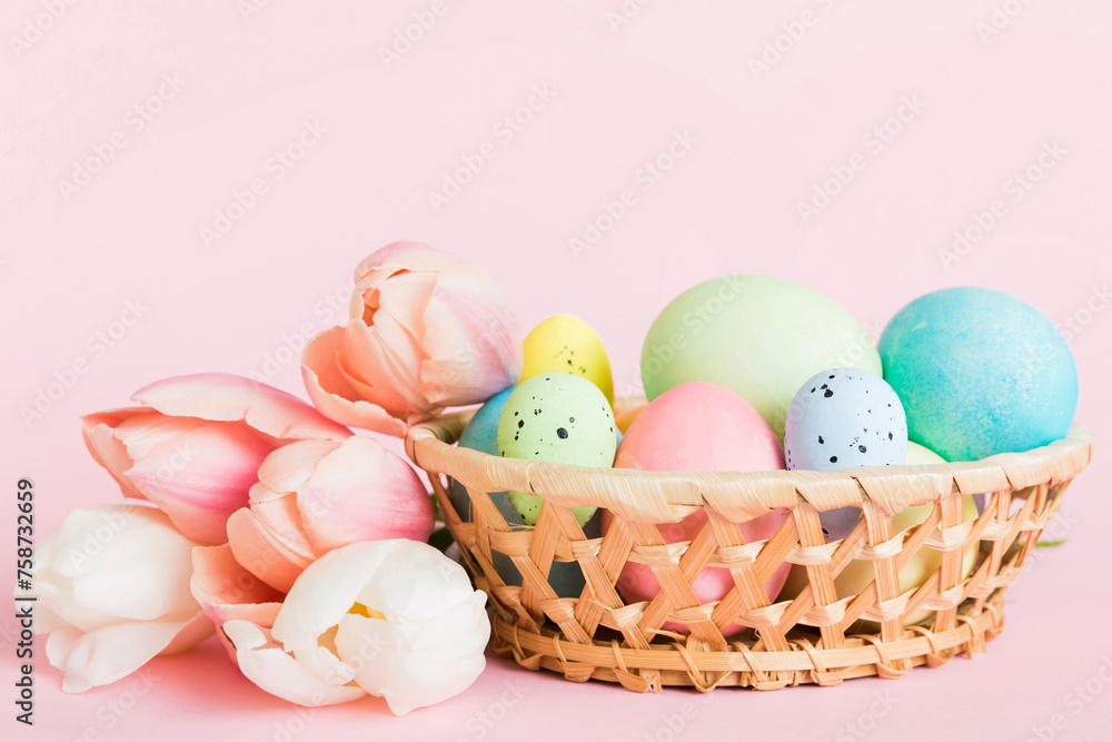 Happy Easter composition. Easter eggs in basket on colored table with yellow Tulips. Natural dyed colorful eggs background with copy space