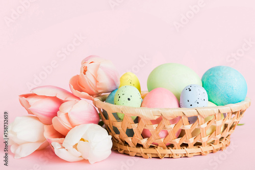 Happy Easter composition. Easter eggs in basket on colored table with yellow Tulips. Natural dyed colorful eggs background with copy space