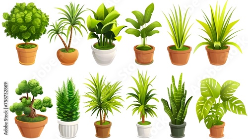 3D Cartoon Icon Set of a Potted Houseplant Showing Growth on a White Background