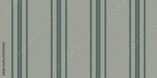 Decorating textile vector vertical, finish fabric texture stripe. Marriage seamless background pattern lines in pastel and light colors.