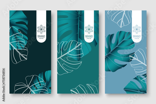 Branding packaging nature leaf background, voucher logo banner, spring summer tropical, vector illustration with monstera leaves.