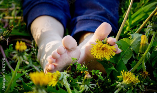 children's feet on the background of dandelions. nature.