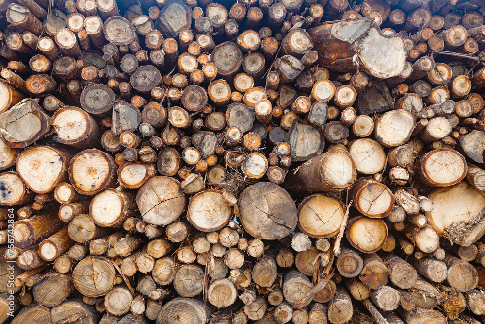 Wooden logs have been prepared and stored for transportation. Wooden logs have been prepared and stored for transportation.