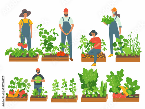  A community garden flourishes with volunteers planting and harvesting fresh produce promoting healthy eating habits. 