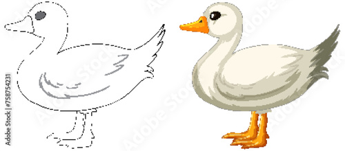 Vector transition from line art to colored duck