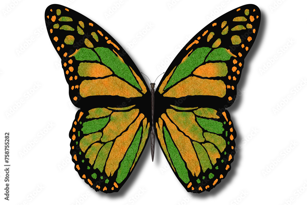 Farfalla colorata vola con le ali aperte su sfondo bianco..