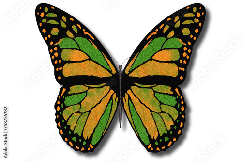 Farfalla colorata vola con le ali aperte su sfondo bianco.. photo