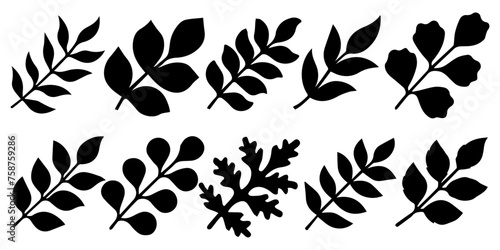 A selection of branches of various plants. Black vector silhouettes of branches with leaves.