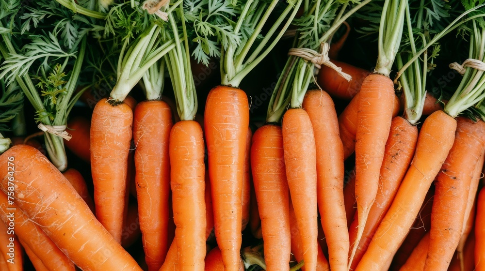 Vibrant large organic carrots creating a fresh texture background, ideal for culinary concepts Vibrant large organic carrots creating a fresh texture background, ideal for culinary concepts