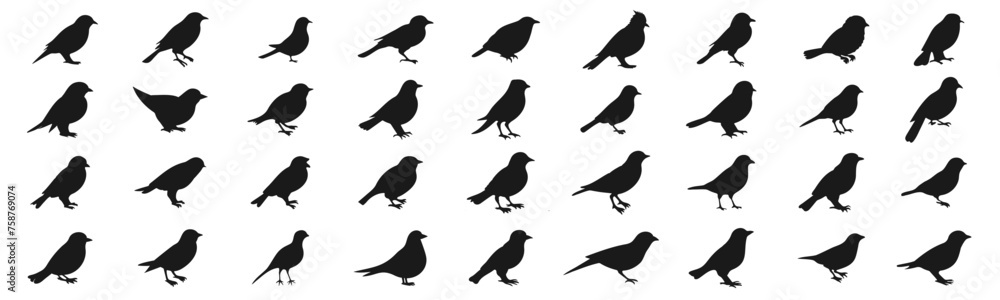 Different birds silhouette elements, low detailed illustration