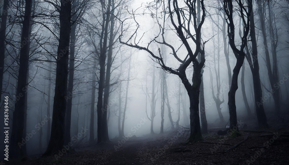 Dark forest with dead trees in fog. Mysterious horror scenery. Mystical atmosphere. Dark forest with dead trees in fog. Mysterious horror scenery. Mystical atmosphere.