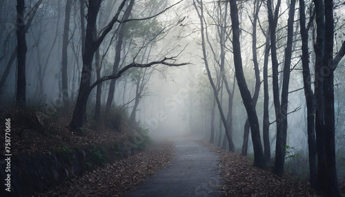 Dark forest with dead trees, path in fog. Mysterious horror scenery. Mystical atmosphere.