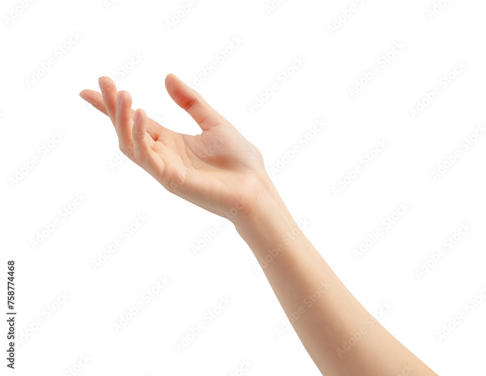 Hand holding or pointing to something on white background. Hand holding or pointing to something on white background.
