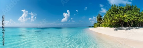 A pristine white sand beach with crystal-clear turquoise waters under a bright blue sky on the Maldives