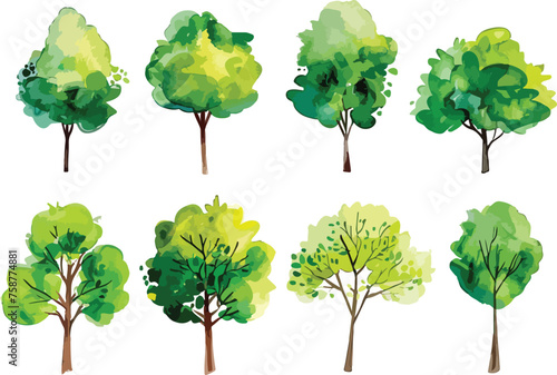 Set of watercolor green tree isolated on white background for landscape and architecture drawing  elements for environment and garden  botanical for section in spring