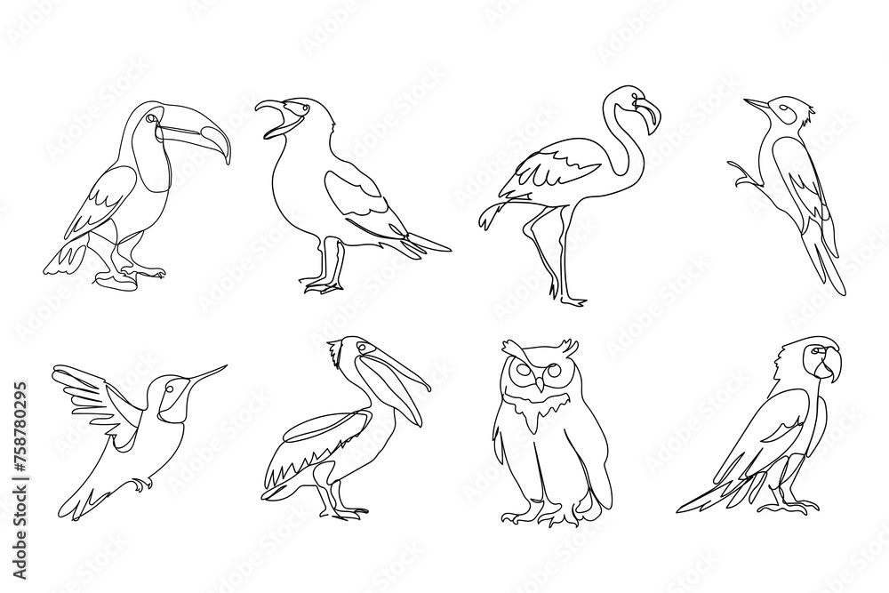Fototapeta premium set of different birds, black line drawing, toucan, seagull, owl, owl, parrot, woodpecker on white background