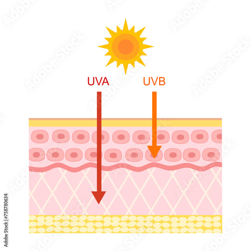 The difference of radiation 2 types in sunlight which is harmful to the skin. UVA penetrate deep than UVB.